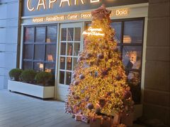 -CAPARESH開府莱舍(望京金辉店)