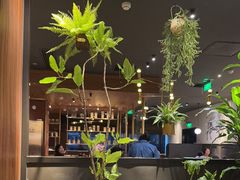 -西堤牛排(北京国瑞店)