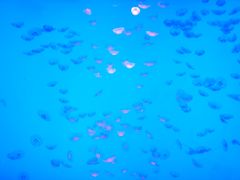 -沈阳海洋探索中心