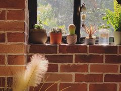 -晓风书屋(大学路店)