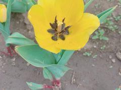 -长春公园(普阳街道)