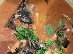 -向外鱼乐·土菜·虹鳟鱼