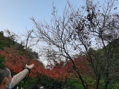 -黔灵山公园