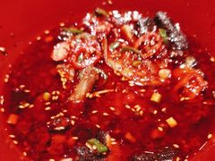 -馋嘴猫北京食堂·烤鸭·宵夜(亚运村店)