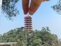 -缙云山景区
