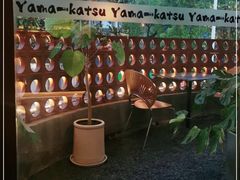 -山杏yama-katsu·吉列炸物