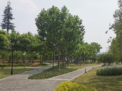 -上海山野camping·户外天幕烧烤·团建拓展营地