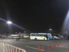 -迪士尼乐园停车场