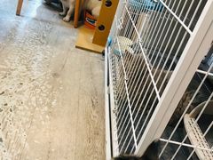 -小时光咖啡馆(北锣鼓巷店)