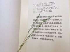 景点-上海长江河口科技馆