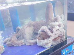 -亚龙湾亚泰商业街