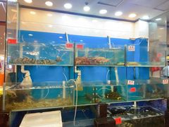-美居大酒楼(美居广场店)