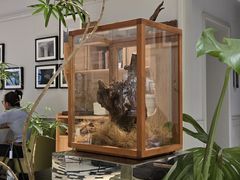 -一尺花园(安和花园店)