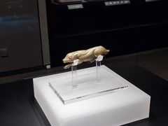 -四川博物院