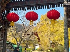 -遵化市禅林寺古银杏风景园