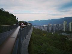 -金鸡山公园
