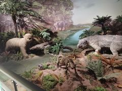 -湖南省地质博物馆