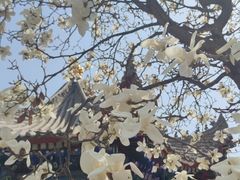 -西安市广仁寺