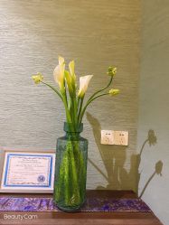 -娇玫荟SPA