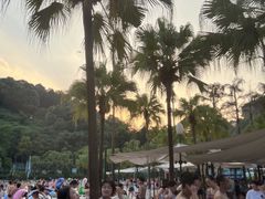 -重庆海昌加勒比海水世界