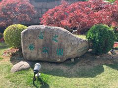 -嘉定紫藤园