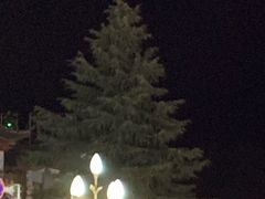 -草墩罗非鱼庄•野生菌•腊排骨(七星街上段店)