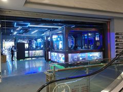 -天空之城·明日世界(南亚店)