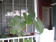 -娜娜度假小旅馆