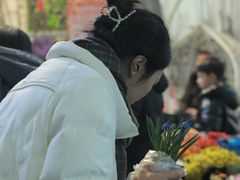 -三圣花乡旅游区