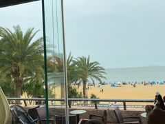 -太平洋咖啡(海滨泳场店)