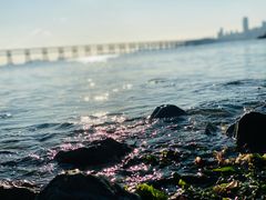 -星海广场