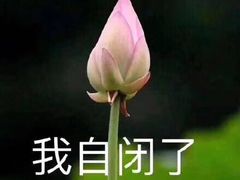 -许小树(国贸商城店)
