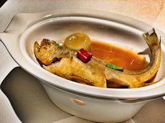 家烧东海中黄鱼-广舟(千禧店)