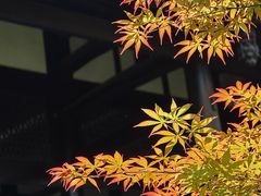 -平安桥天主教堂