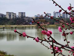 -燕江楼(燕东店)