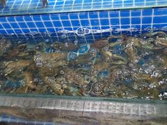 -星记小馆·小蓝龙·老南京砂锅菜(上海路店)