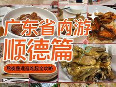 -聚福山莊·寻味顺德(北滘店)