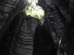 -梭布垭石林景区