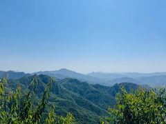 -大岭沟猕猴桃谷风景区