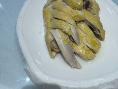 -席家花园(巨鹿花园店)