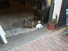 -大理床单厂艺术区