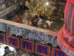 -五马集·海鲜·温州大牌档(黑金冠五马街十字路口店)