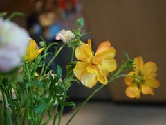 -阿吾罗·月咏精致日料(港汇恒隆广场店)