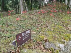 -唐崖土司城遗址