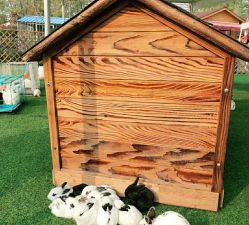 -萌宠亲子动物乐园(槐房万达店)