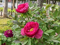 -江南大学(蠡湖校区)