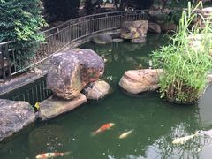-花果山庄•现烤荔枝柴烧鹅
