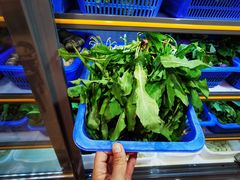 -老味道1992(武当山店)