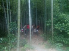 -石燕湖生态旅游景区