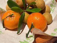 -季季山·云南野生菌火锅(上海首店)
